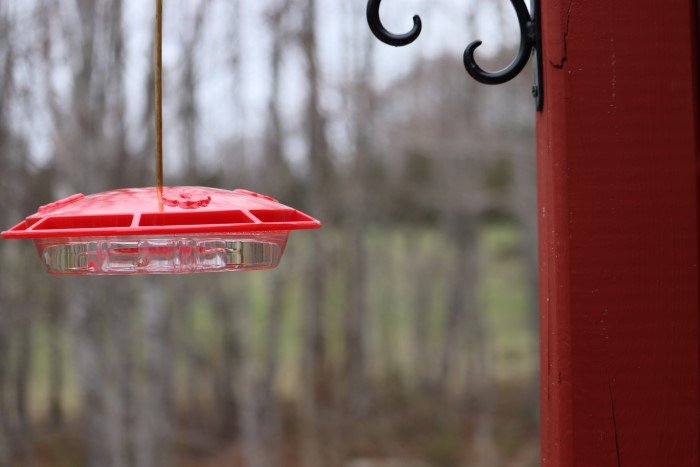 HumZinger hummingbird feeder hanging outside on the deck.