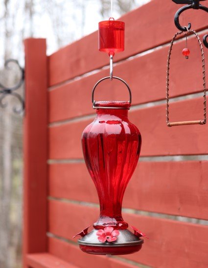 Red glass hummingbird feeder hanging outside. 