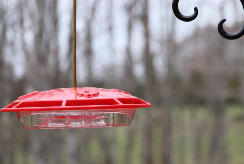 Hummingbird feeder hanging outside.