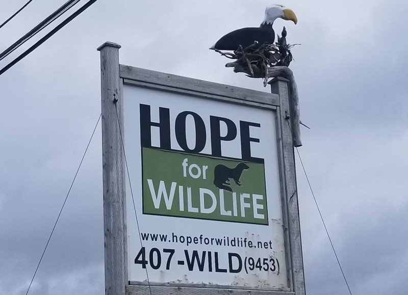 Hope for Wildlife sign.