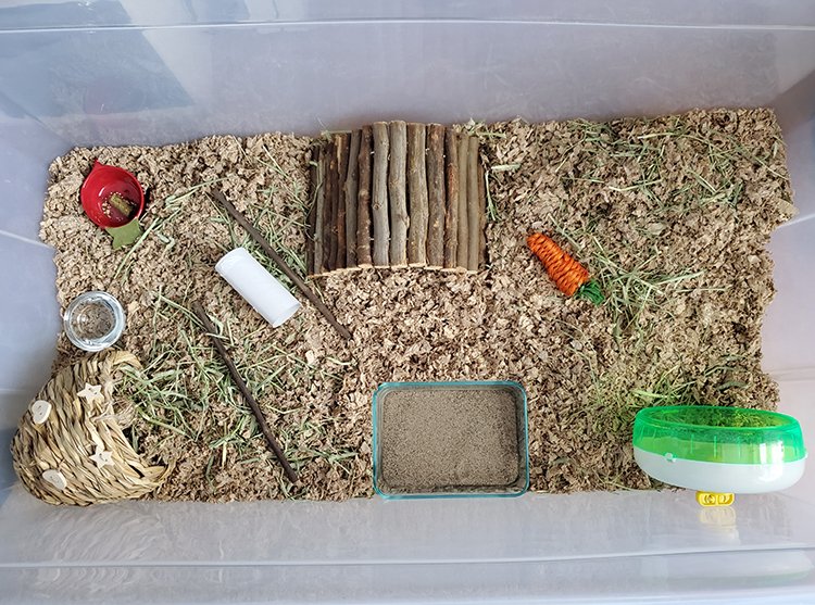 Inside a DIY hamster bin cage without a lid on