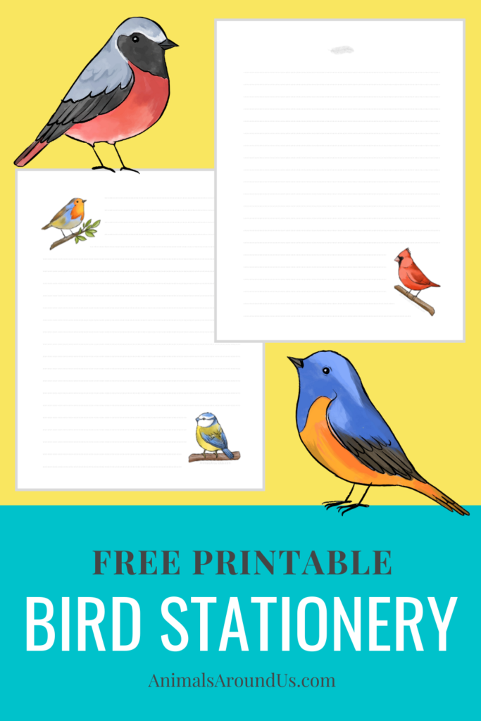 printable bird letter stationery